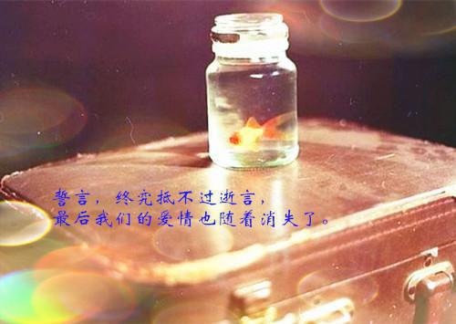 沈青瓷周泽许的最新章节更新时间 丈夫爱上了女神棍后，我不要他了小说沈青瓷周泽许免费阅读全文