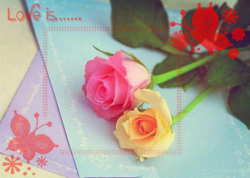 林岚沈以宁沈言蹊白念清的小说叫什么 青春重溯我不回头by路人甲