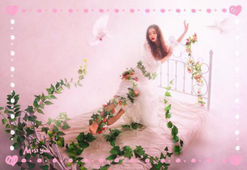 沈知微陆野小说免费阅读最新章节 时光白首错流年男主沈知微陆野小说