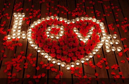 宋旭光林瑶宋旭辉洛溪笔趣阁免费阅读 弟弟与我交换兽人妻子后，我逆袭了结局