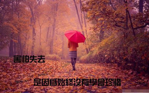 傅之珩傅泽承温意眠免费阅读最新章节 他与天光一步之遥未删减小说