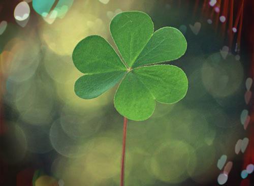 杨承砚明月最新章节更新时间 雨秋亲事原著在线阅读