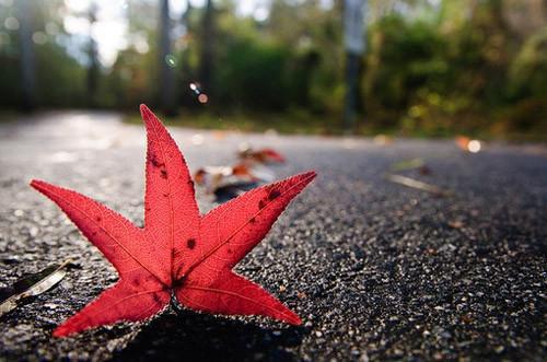 江妤傅时骁笔趣阁免费阅读 实名招惹江妤傅时骁大结局