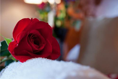 晏听礼雪薇小说免费阅读 雪薇晏听礼免费阅读小说