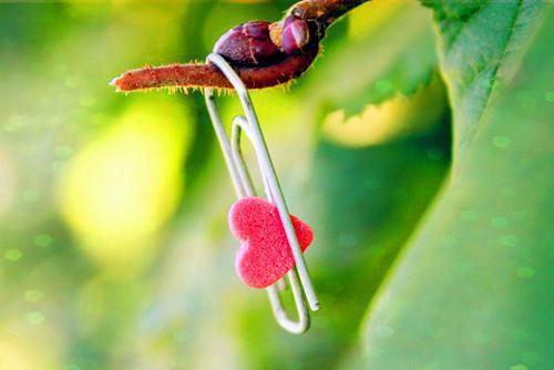 施总，夫人不追！带崽离婚回港了孟纯施承淮最新章节列表_施总，夫人不追！带崽离婚回港了孟纯施承淮全文免费阅读