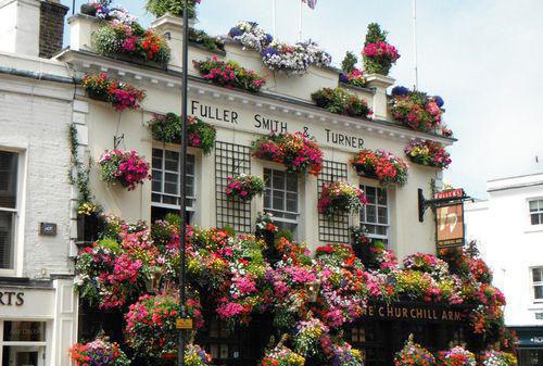 萧瑟夜半风又起(裴若语裴洵舟贺誉沉)完结小说后续全文大全_全本完结小说后续全文萧瑟夜半风又起裴若语裴洵舟贺誉沉