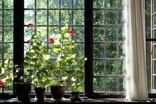 陆沉屿江见玥裴凛结局 旧笺难拾，惘逐烟散小说正版阅读