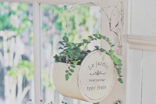 程乔祁晟程寻笔趣阁 穿书自救,总裁的隐婚甜妻全文阅读