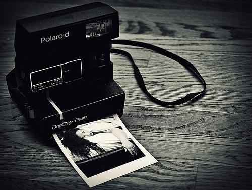 赵岁宁蒋月蒋言希小说免费阅读全文 以控为名未删减小说