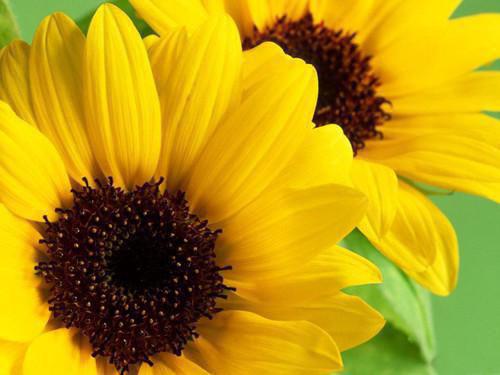 因我不愿将全部的工资上交给父母，他们就将我赶出家门（温夏宋雯雯）全文浏览_因我不愿将全部的工资上交给父母，他们就将我赶出家门全文浏览