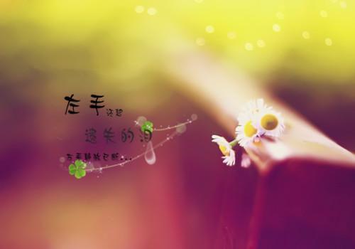 顾景行沈溪月萧砚辞免费阅读最新章节结局 女儿孝顺婆家,却要我付钱:后续最新章节更新