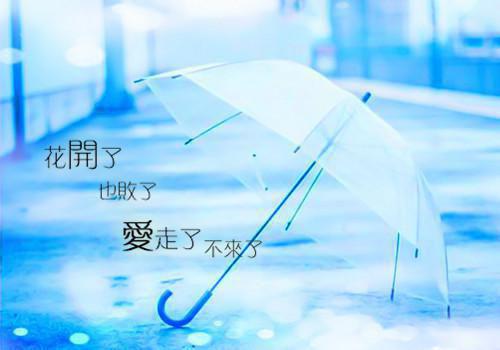 林妤霍珏秦司雁唐菀小说 林妤秦司雁笔趣阁最新章节列表