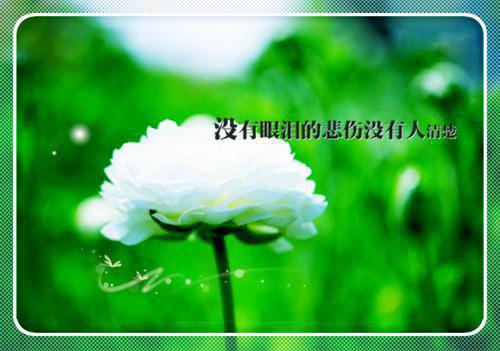 傅姝晚霍钊祁最新章节内容 傅姝晚霍钊祁知乎小说