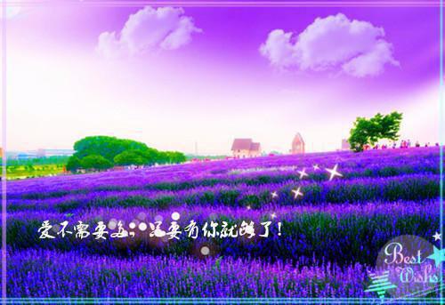乔安白修卓叫什么小说 乔安by匿名免费阅读