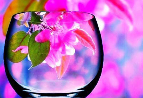 倪安程希（终随雁影各西东免费阅读：结局+番外）全文免费阅读无弹窗大结局_(倪安程希)最新章节列表_笔趣阁（终随雁影各西东免费阅读：结局+番外）