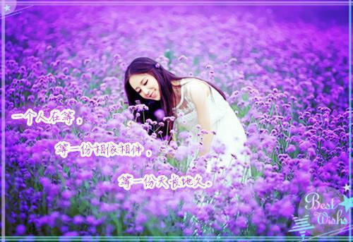 沈若渝顾屿琛是哪部小说 重生后不再被婆婆一家吸血,假死的英雄老公急了完整版