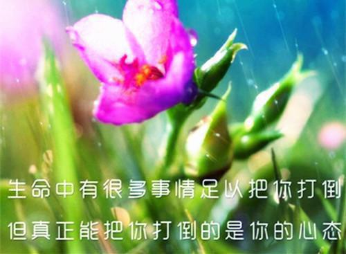 林珉瑶韩宇寰笔趣阁免费阅读 林珉瑶韩宇寰笔趣阁最新章节