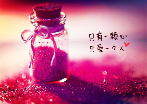 时砚璟乔青禾温屿臣的小说叫什么 一别再无晨曦暮色：后续+结局未删减小说