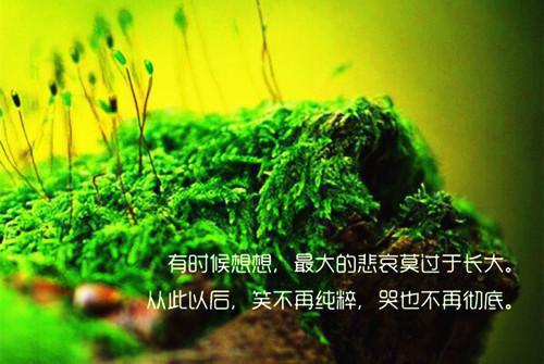 林诺赵泽润叫什么小说 网恋daddy是我养父（侠名）免费阅读