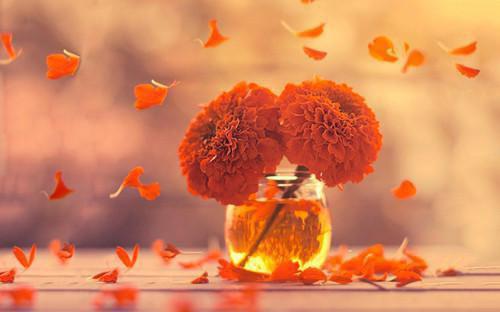 阮枝裴战最新章节列表 撞见男友给学妹撑伞接吻，我直接把视频发遍全校免费阅读全文