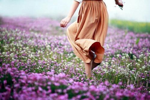 洛野苏白鸽最新章节更新时间 不能说的秘密全文最新更新内容