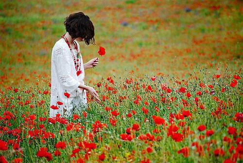 刘思齐黄婷婷王小雨刘翠翠是哪部小说 国庆出游室友拒A房费，我杀疯了最新章节免费阅读
