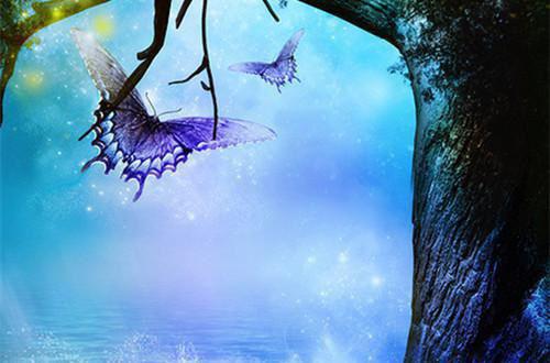 林妤霍珏秦司雁唐菀小说 林妤秦司雁免费阅读