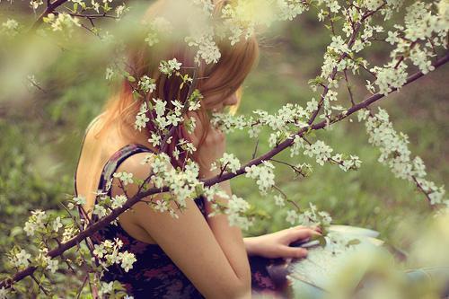 乔若涵魏彦明乔怡然魏靖轩是哪部小说 飞雪来时晓未明小说乔若涵魏彦明乔怡然魏靖轩免费阅读全文