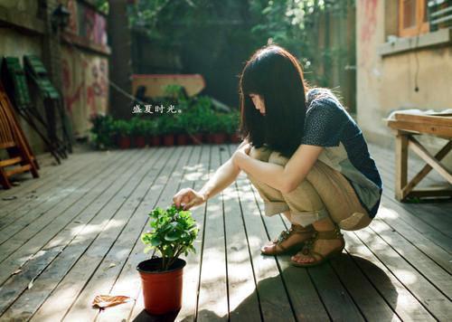 祁北煜阮芷挽沈嘉州结局 爱意辞尽赴北山笔趣阁