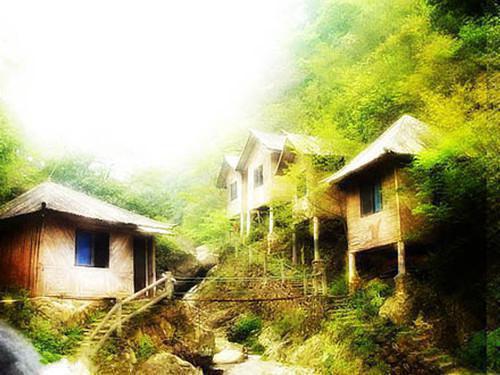 顾染小说免费阅读 8万退款让我承担后,公司损失了2个亿未删减小说