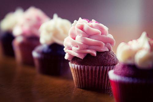 宁愿沈卓徐风眠小说名字 尝鲜小说免费阅读全文最新章节