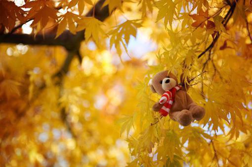 顾鸠谢平谢世鸣笔趣阁免费阅读 本能救赎原著在线阅读