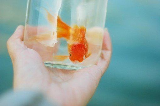 沈参顾陈言苏绾歌免费阅读最新章节 中秋家宴,夫君把我真身做成月饼全文免费阅读