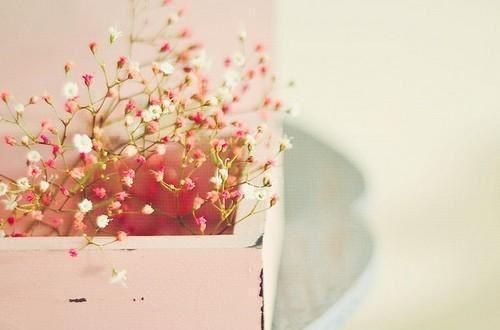 纪凌然夏珠免费阅读最新章节结局 海棠之约短篇小说