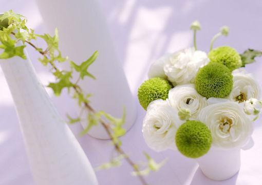 许念季扬小说叫什么名字 一条围巾，一拍两散完整版