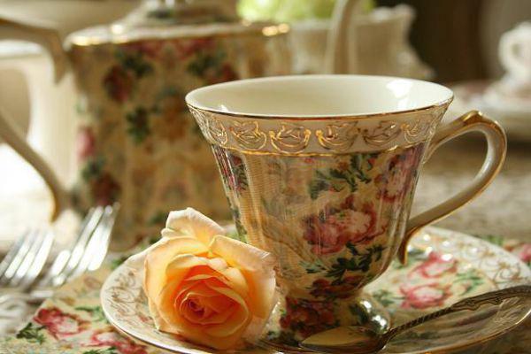 南意陆晏枭宋知初笔趣阁 情如覆水,散尽难收小说全文免费