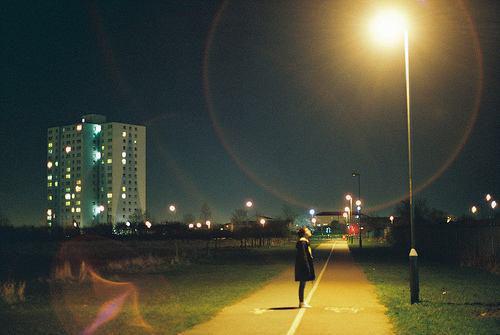 陆南枝谢知衡陆青瑶最新章节列表 今生错许误南枝全文免费阅读