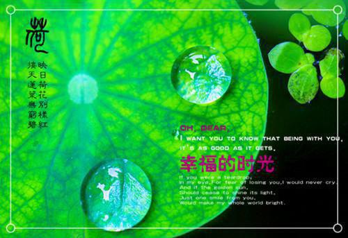 (番外)+(全文)我盼与你看朝暮:在线阅读全本阅读全文+后续下载阅读_(苏念虞季司寒)我盼与你看朝暮:在线阅读全本阅读全文+后续最新章节列表_笔趣阁(苏念虞季司寒)