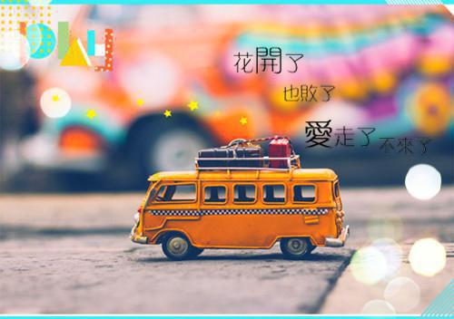 安小雨谢凛最新章节更新状态 紫岛雨来by某君免费阅读