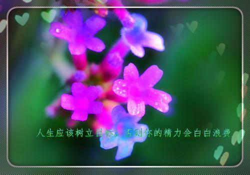 简泱陆见野的最新章节小说 简泱陆见野结局