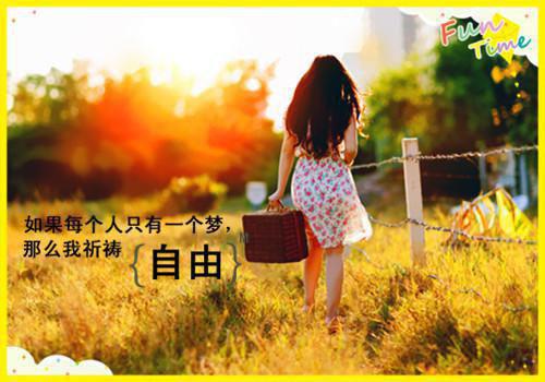 沈南月谢知衡沈青瑶是哪部小说 沈南月谢知衡知乎小说