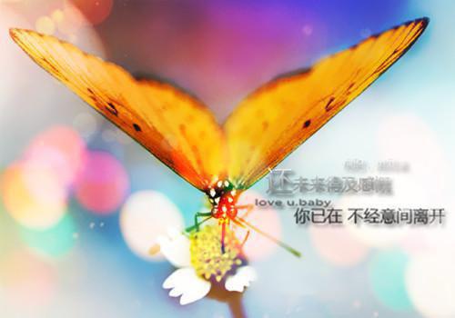 苏芷淼淼的最新章节更新时间 爱好雌竞的我妈,要给女儿配冥婚:后续笔趣阁最新章节