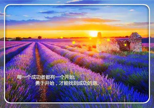 顾南枳郁子琛郁知年什么关系 二版《星辰终有来时》顾南枳 郁子琛短篇小说