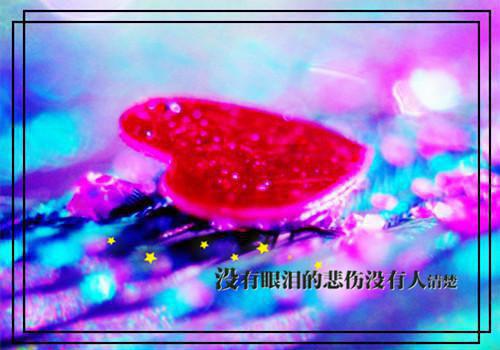 梨花落无景明全文阅读(傅景明沈娇黎秦莉音)最新章节_梨花落无景明全文阅读