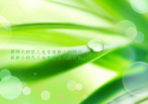 凌霜秦砚洲夏若浅小说免费阅读 雾里探星见你:后续短篇小说