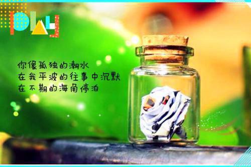 若遥洛灵君泽的小说叫什么 若遥君泽全文最新更新内容