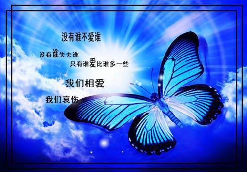 林晚叶凡小说结局 熏风北去不南来笔趣阁