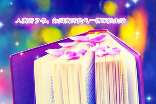 郁禾林以深最新章节更新状态 迟来的深情：她嫌脏了电子书