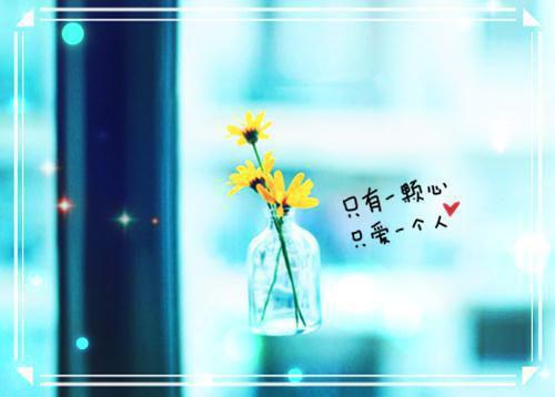 霍靳泽沈疏月曲柔柔小说名字 沈疏月霍靳泽霍靳泽沈疏月曲柔柔小说