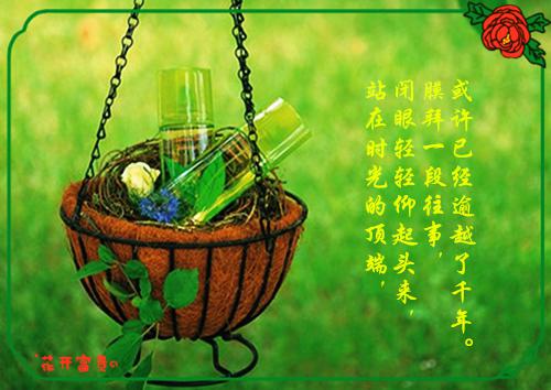 顾念沈知言小说叫什么名字 寻子十年，才发现原来老公把孩子送给了白月光在线阅读